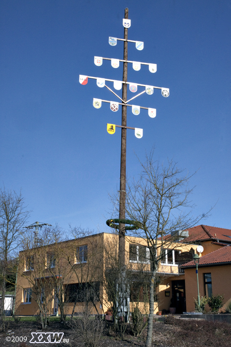 der maibaum in mehlbach