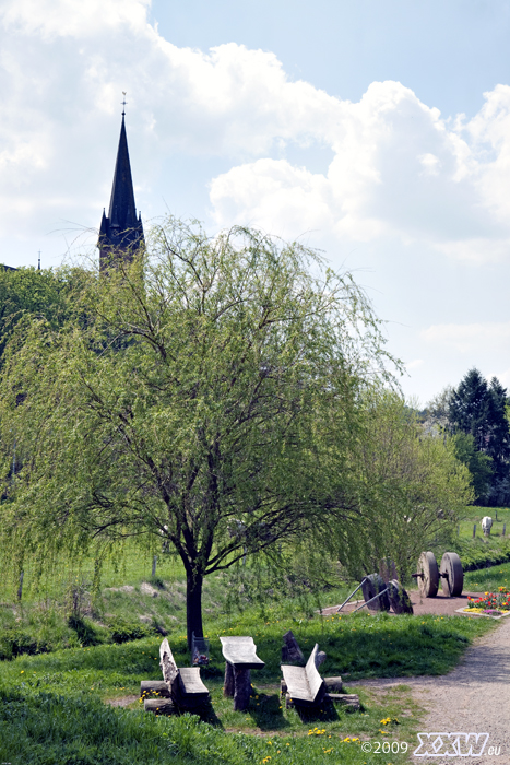 frisches grün im ottertal