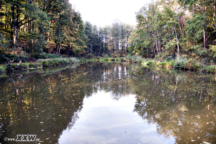 der zuchtweiher