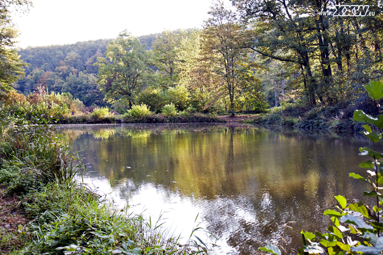 der zuchtweiher