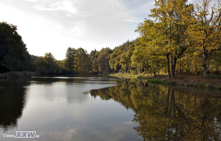 der schafweiher