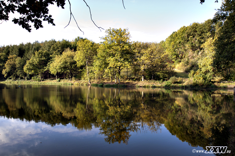 der schafweiher