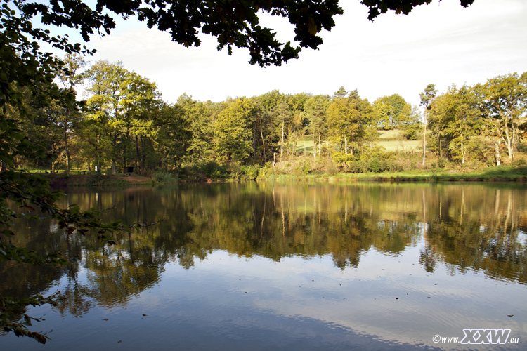 der badweiher