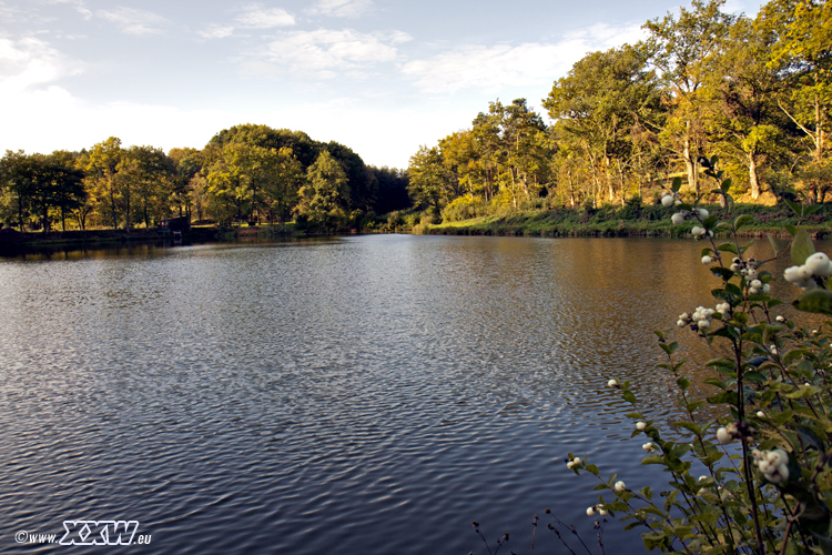 der badweiher