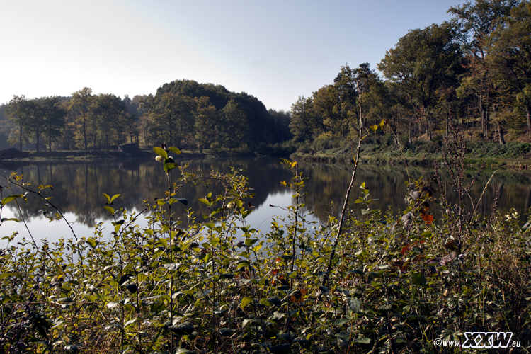 der badweiher