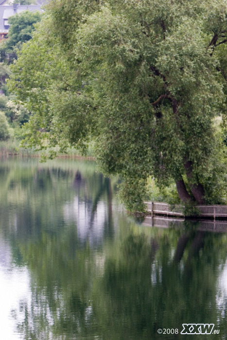 blick auf das schalkenmehrener maar