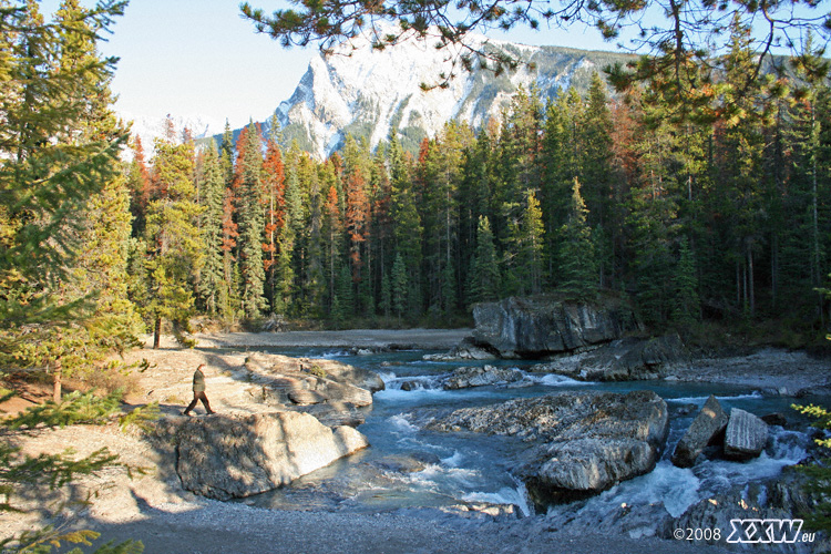 wildbach im yoho nationalpark