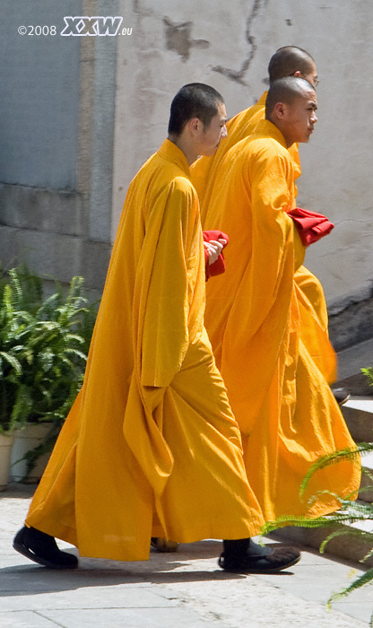 novizen im zen-buddhistischen daming kloster