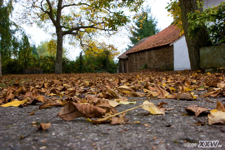 ein hof in relsberg