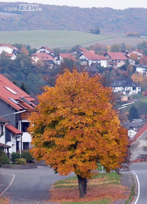 ortseingang niederkrichen