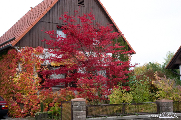 wahnsinnsfarben in schallodenbach