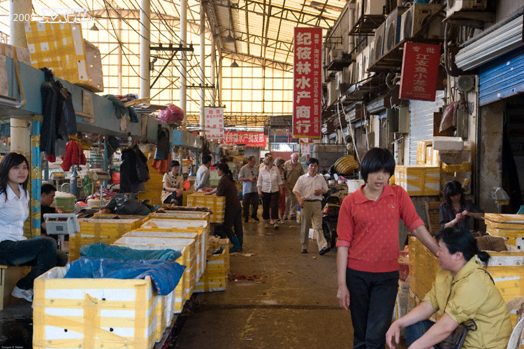 eine markthalle mit typischer chinesischer athmosphäre