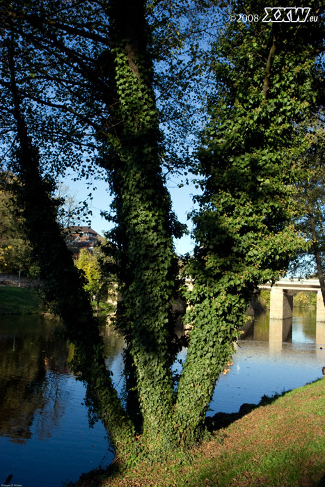 beim spaziergang im park