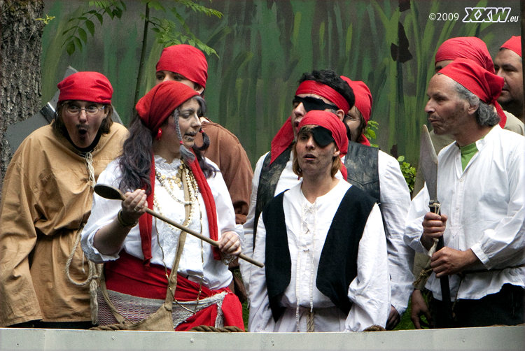 die piraten beraten sich