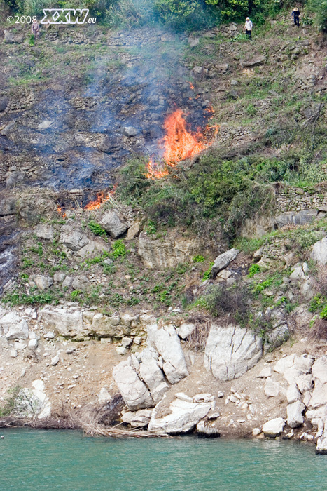 brandrodung der hochwasserzone