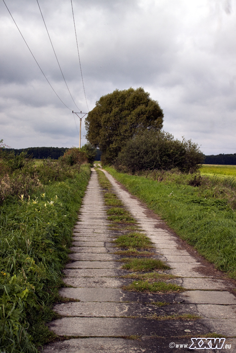 ein betonplattenweg, typisch in der region