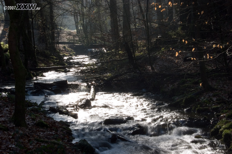 wildes wasser