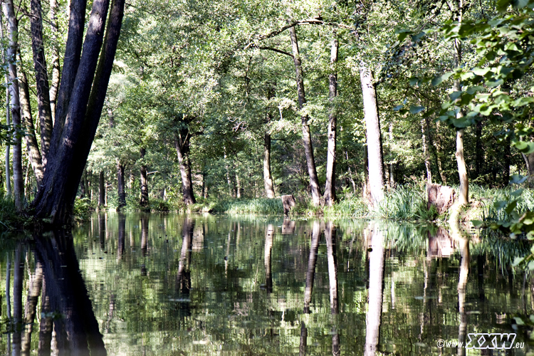 mit dem paddelboot unterwegs