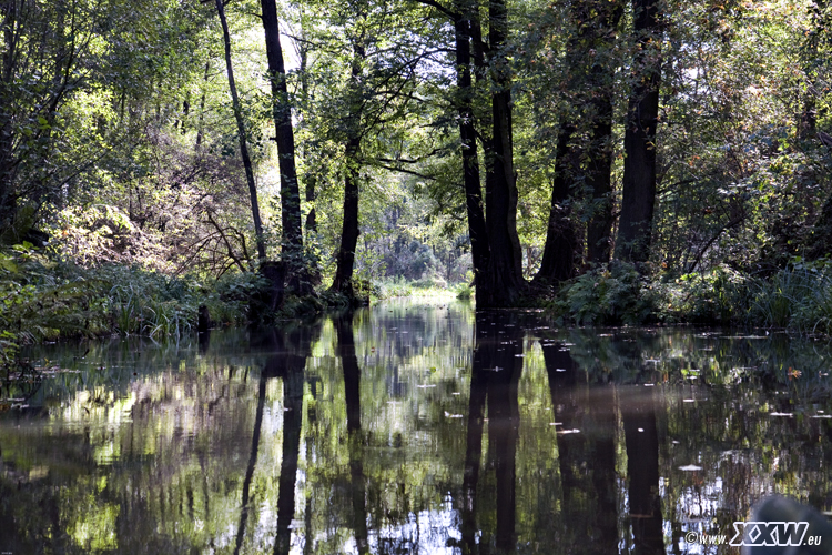 mit dem paddelboot unterwegs