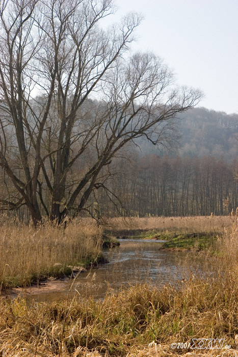 die natur erholt sich nur langsam