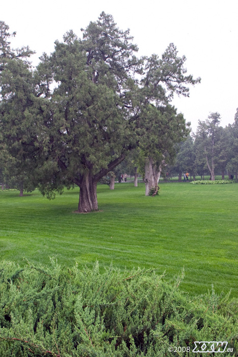 im park vor dem himmelstempel