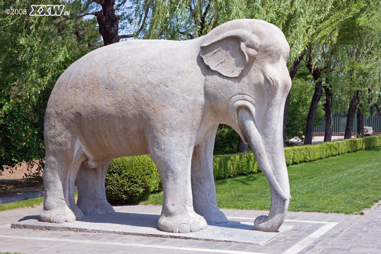 ein stehender elefant