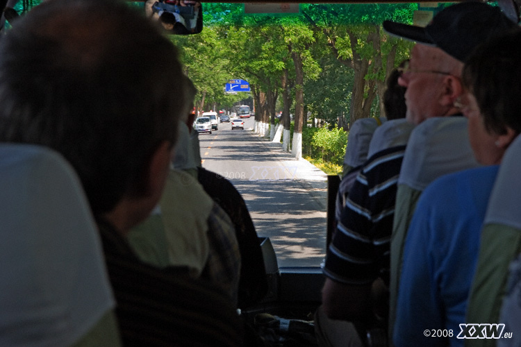 blick auf eine allee