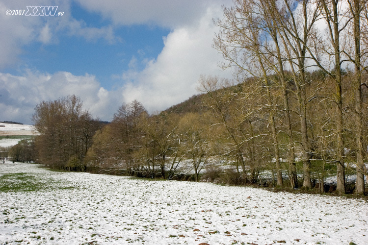 zwischen schallodenbach und niederkirchen