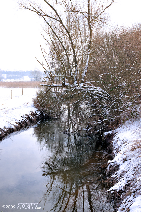 blick in richtung weilerbach