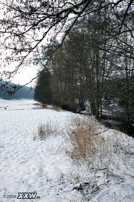 blick in richtung weilerbach