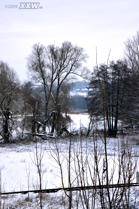 die auen bei sulzbach